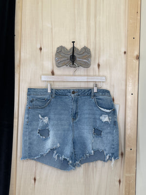 Light Blue Distressed Jean Shorts